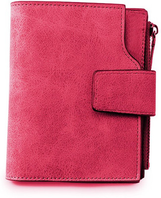 

Flipkart SmartBuy 20 Card Holder(Set of 1, Pink)