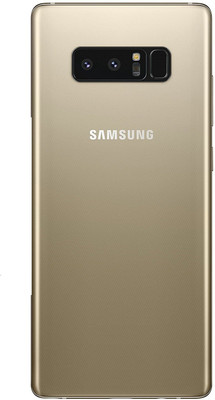 ShoppKing Samsung Galaxy Note 8 Back Panel(Gold)