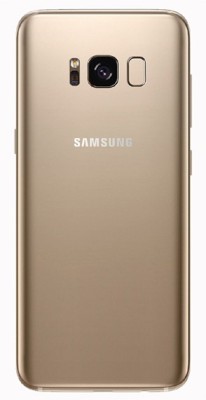ShoppKing Samsung Galaxy S8 Back Panel(Gold)