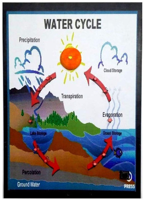 

Melody's Water Cycle or Hydrologic Cycle - With Light Geography Science Project Educational Electronic Hobby Kit
