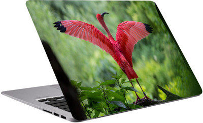 

Richerbrand Birds Laptop Sticker 15.6 inch-Designer laptop sticker-laptop skin sticker-229 Premium Quality,Bubble Free,Scratchproof,Laptop Skin/Cover for 15.6 inches/3m Vinyl Laptop Decal 15.6