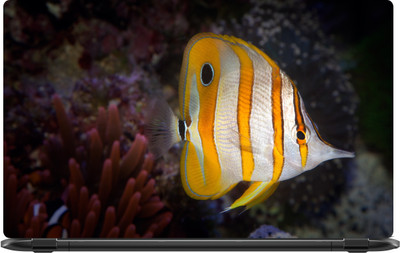 

Lapower Yellow and white colour beautiful fish Vinyl Laptop Decal 15.6