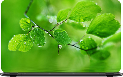 

Lapower Green wet leaves due to to rain Vinyl Laptop Decal 15.6