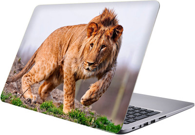 

PRINTCLUB lion Laptop Sticker 15.6 inch-Premium Quality, UV Printed, Laminated, Bubble Free, Scratchproof Laptop Skin-268 Vinyl Laptop Decal 15.6
