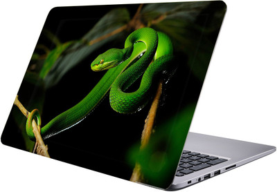 

PRINTCLUB green snake Laptop Sticker 15.6 inch-Premium Quality, UV Printed, Laminated, Bubble Free, Scratchproof Laptop Skin-721 Vinyl Laptop Decal 15.6