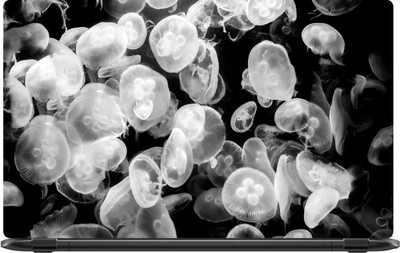 

Lapower White jelly fishes Vinyl Laptop Decal 15.6