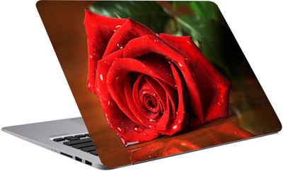 

Richerbrand Red Rose Laptop Sticker 15.6 inch-Designer laptop sticker-laptop skin sticker-233 Premium Quality,Bubble Free,Scratchproof,Laptop Skin/Cover for 15.6 inches/3m Vinyl Laptop Decal 15.6