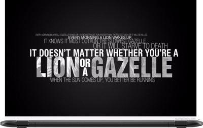 

Lapower Lion or a gazelle Vinyl Laptop Decal 15.6