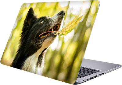 

PRINTCLUB wild dog Laptop Sticker 15.6 inch-Premium Quality, UV Printed, Laminated, Bubble Free, Scratchproof Laptop Skin-152 Vinyl Laptop Decal 15.6