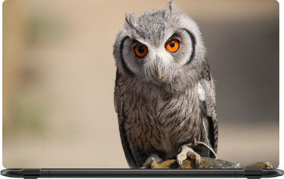 

Lapower White and black owl Vinyl Laptop Decal 15.6