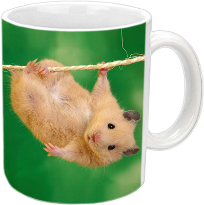 

Raj Laxmi Ginnie pig white Ceramic Mug(350 ml)