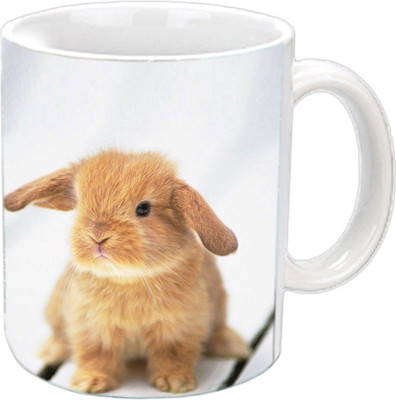 

Raj Laxmi Cute rabbit white Ceramic Mug(350 ml)
