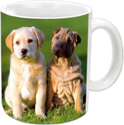 

Raj Laxmi Dogs friendship white Ceramic Mug(350 ml)