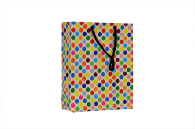 

A&A Printed Party Bag(Multicolor, Pack of 10)