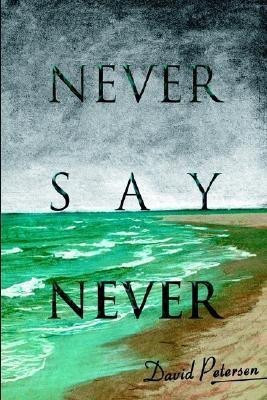 Never Say Never(English, Hardcover, Petersen David)