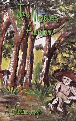Jan's Mysterious Adventure(English, Paperback, A Valentine Joseph)