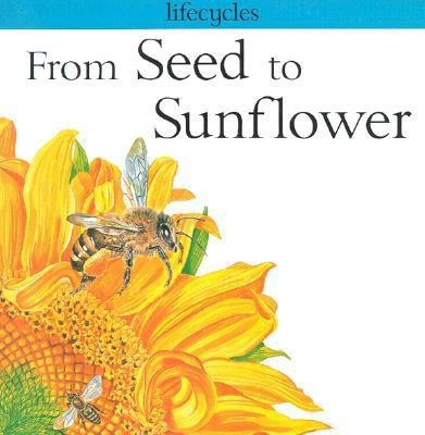 From Seed to Sunflower(English, Paperback, Legg Gerald Scrace)