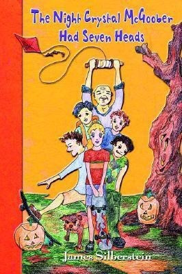 The Night Crystal McGoober Had Seven Heads(English, Paperback, Silberstein James)