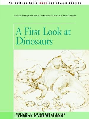 A First Look at Dinosaurs(English, Paperback, Hunt Joyce)