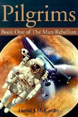 Pilgrims(English, Paperback, McCarthy David James)