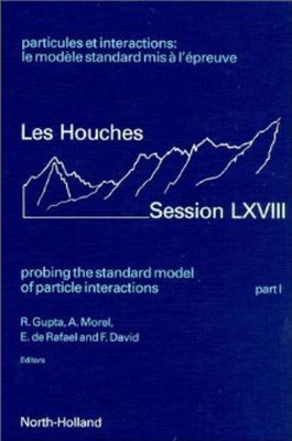 Probing the Standard Model of Particle Interactions(English, Hardcover, unknown)