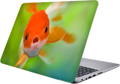 

PRINTCLUB fish Laptop Sticker 15.6 inch-Premium Quality, UV Printed, Laminated, Bubble Free, Scratchproof Laptop Skin-366 Vinyl Laptop Decal 15.6