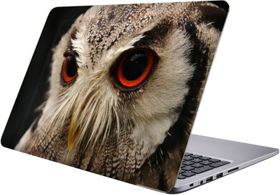 

PRINTCLUB owl Laptop Sticker 15.6 inch-Premium Quality, UV Printed, Laminated, Bubble Free, Scratchproof Laptop Skin-348 Vinyl Laptop Decal 15.6