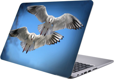 

PRINTCLUB birds Laptop Sticker 15.6 inch-Premium Quality, UV Printed, Laminated, Bubble Free, Scratchproof Laptop Skin-531 Vinyl Laptop Decal 15.6