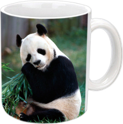 

Raj Laxmi Eating kungfu panda white Ceramic Mug(350 ml)