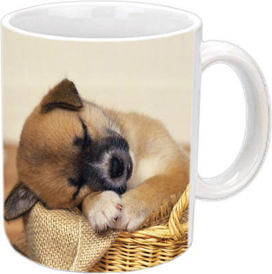 

Raj Laxmi Sleeping puppy white Ceramic Mug(350 ml)