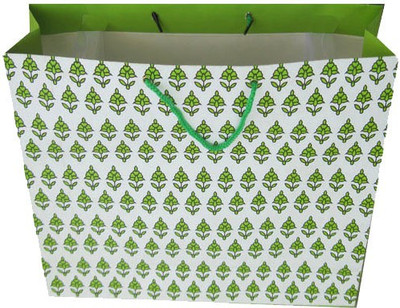 

PPJ Printed Party Bag(Green, Pack of 20)