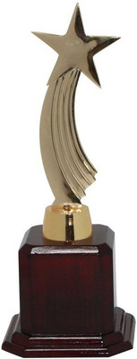 

Frontfoot Sports FTK Star 22 (31.25 cm) Trophy(34)