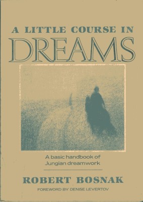 A Little Course in Dreams(English, Paperback, Bosnak Robert)