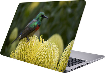 

PRINTCLUB bird Laptop Sticker 15.6 inch-Premium Quality, UV Printed, Laminated, Bubble Free, Scratchproof Laptop Skin-318 Vinyl Laptop Decal 15.6