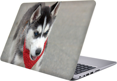 

PRINTCLUB dog Laptop Sticker 15.6 inch-Premium Quality, UV Printed, Laminated, Bubble Free, Scratchproof Laptop Skin-234 Vinyl Laptop Decal 15.6