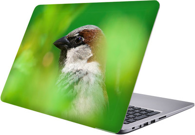 

PRINTCLUB bird Laptop Sticker 15.6 inch-Premium Quality, UV Printed, Laminated, Bubble Free, Scratchproof Laptop Skin-233 Vinyl Laptop Decal 15.6