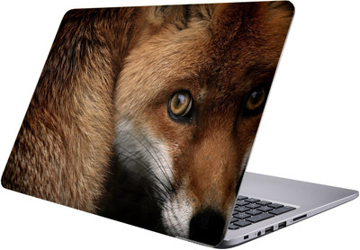 

PRINTCLUB fox Laptop Sticker 15.6 inch-Premium Quality, UV Printed, Laminated, Bubble Free, Scratchproof Laptop Skin-350 Vinyl Laptop Decal 15.6