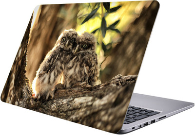 

PRINTCLUB two owl Laptop Sticker 15.6 inch-Premium Quality, UV Printed, Laminated, Bubble Free, Scratchproof Laptop Skin-62 Vinyl Laptop Decal 15.6