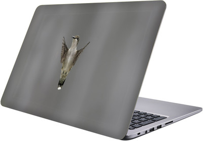

PRINTCLUB bird Laptop Sticker 15.6 inch-Premium Quality, UV Printed, Laminated, Bubble Free, Scratchproof Laptop Skin-91 Vinyl Laptop Decal 15.6