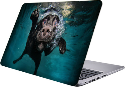 

PRINTCLUB doggy Laptop Sticker 15.6 inch-Premium Quality, UV Printed, Laminated, Bubble Free, Scratchproof Laptop Skin-150 Vinyl Laptop Decal 15.6