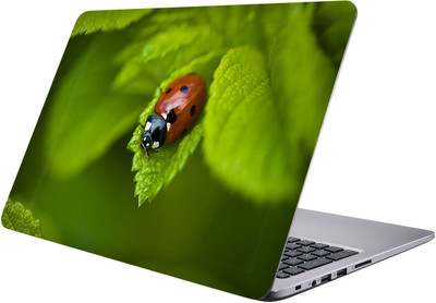 

PRINTCLUB leaf Laptop Sticker 15.6 inch-Premium Quality, UV Printed, Laminated, Bubble Free, Scratchproof Laptop Skin-260 Vinyl Laptop Decal 15.6