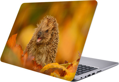 

PRINTCLUB Laptop Sticker 15.6 inch-Premium Quality, UV Printed, Laminated, Bubble Free, Scratchproof Laptop Skin-223 Vinyl Laptop Decal 15.6