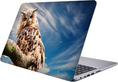 

PRINTCLUB owl Laptop Sticker 15.6 inch-Premium Quality, UV Printed, Laminated, Bubble Free, Scratchproof Laptop Skin-317 Vinyl Laptop Decal 15.6