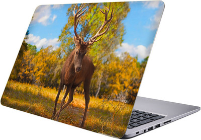 

PRINTCLUB Laptop Sticker 15.6 inch-Premium Quality, UV Printed, Laminated, Bubble Free, Scratchproof Laptop Skin-406 Vinyl Laptop Decal 15.6