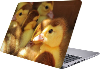 

PRINTCLUB birds Laptop Sticker 15.6 inch-Premium Quality, UV Printed, Laminated, Bubble Free, Scratchproof Laptop Skin-156 Vinyl Laptop Decal 15.6