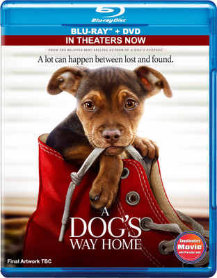 

A Dog's Way Home (Blu-ray + DVD)(Blu-ray English)