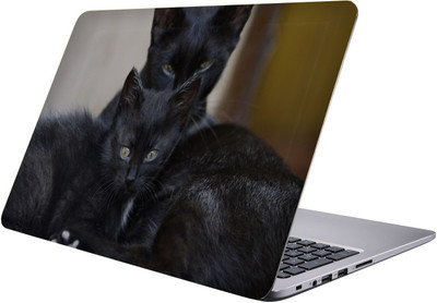 

PRINTCLUB black cats Laptop Sticker 15.6 inch-Premium Quality, UV Printed, Laminated, Bubble Free, Scratchproof Laptop Skin-95 Vinyl Laptop Decal 15.6