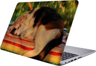 

LUCANT Laptop Sticker 15.6 inch-Premium Quality, UV Printed, Laminated, Bubble Free, Scratchproof Laptop Skin-127 Vinyl Laptop Decal 15.6