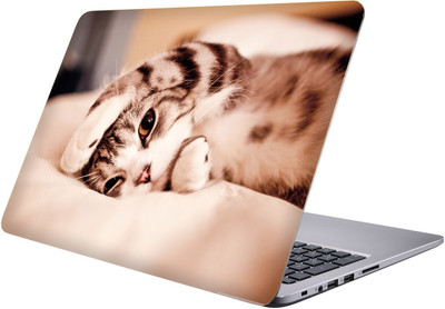 

PRINTCLUB cat Laptop Sticker 15.6 inch-Premium Quality, UV Printed, Laminated, Bubble Free, Scratchproof Laptop Skin-196 Vinyl Laptop Decal 15.6