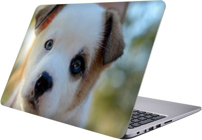 

LUCANT puppy Laptop Sticker 15.6 inch-Premium Quality, UV Printed, Laminated, Bubble Free, Scratchproof Laptop Skin-346 Vinyl Laptop Decal 15.6